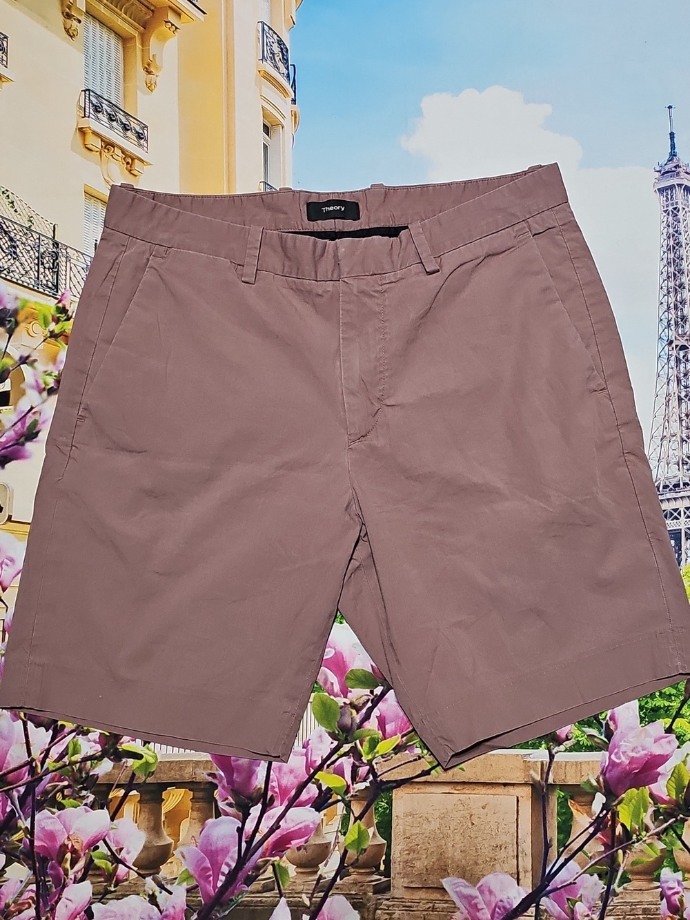 Theory‎ Shorts Size 30